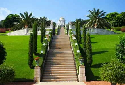 Corte Cipreses y mantenimiento en avila capital y provincia Corte Cipreses y mantenimiento jardines en avila capital y provincia