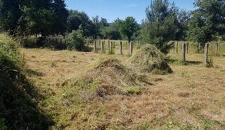 Limpieza y desbroce fincas parcelas Segovia
