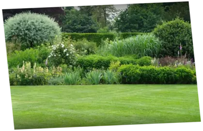 Mantenimiento de jardines