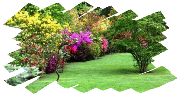 Servicio de Jardinería Mantenimiento de jardines
