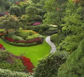 tu jardín con nutrientes y abono