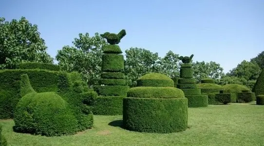 jardinería recorte de setos y personalizados Empresa de jardinería mantenimientos
