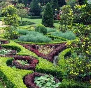 Transforma Tus Espacios Verdes: Servicios Integrales de Jardinería Servicios Integrales de Jardinería en Madrid