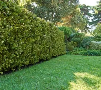 Riego Automático: Hidratación Perfecta para Tu Jardín Hidratación Perfecta para Tu Jardín